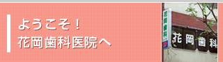悤IԉȈ@