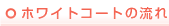 zCgR[g̗